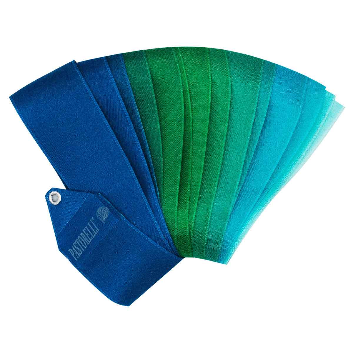PASTORELLI Cintas multicolores Arche Platinum homologadas FIG