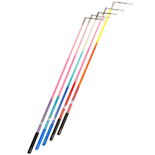 Baguettes de ruban de gymnastique rythmique
