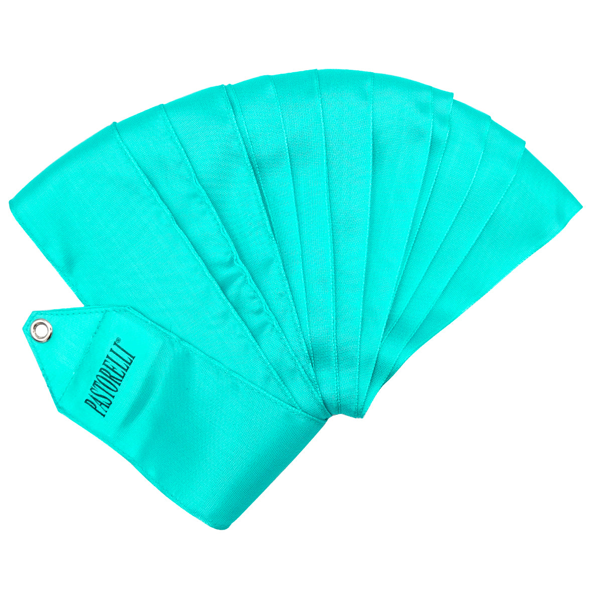 Cintas GR unicolores PASTORELLI 4 m
