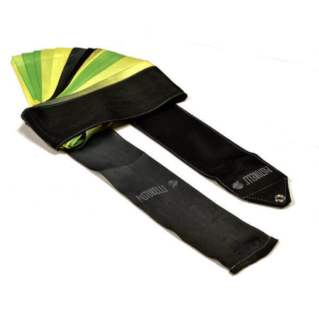 Cintas multicolores PASTORELLI