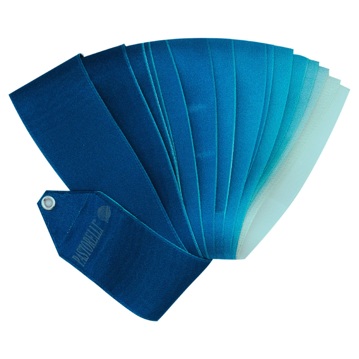 PASTORELLI Cintas multicolores Arche Platinum homologadas FIG